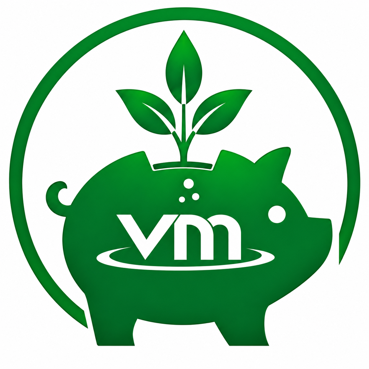 VM Capital Ggroww